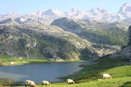 El Parque Nacional de los Picos de Europa