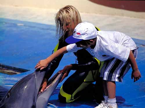 Espectáculo de los delfines