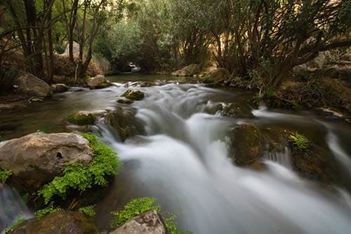 Las Fuentes de Algar