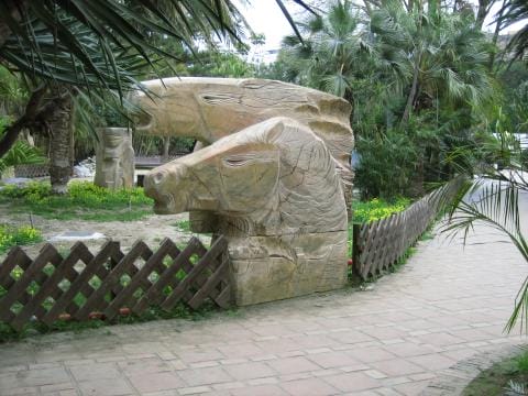 Jard�n Botánico de El Majuelo