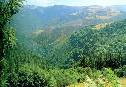 Los Oscos en Asturias