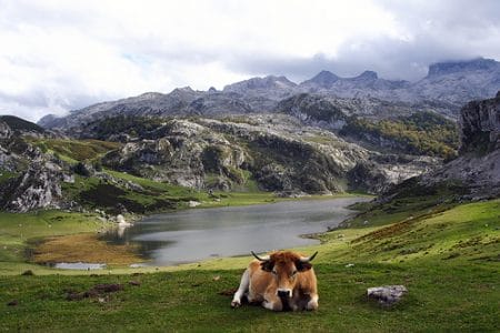Senderismo en los Lagos de Covadonga en Asturias