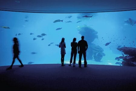 Palma Aquarium en Palma de Mallorca
