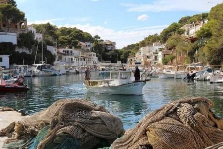 La Llampuga, el delicioso pescado de otoño en Mallorca