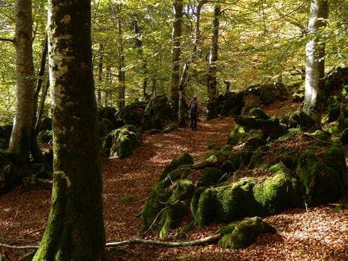 Parque Natural de Urbasa Andia en Navarra