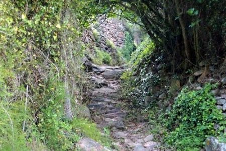 Ruta del Bosque de Pomes en Asturias
