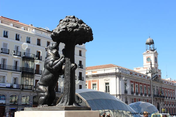 El Oso y el Madroño 1